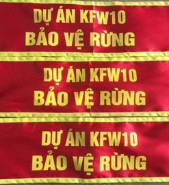 Bang Tay Bao Ve 2