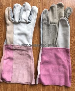 Gang Tay Da Han Dai (1)