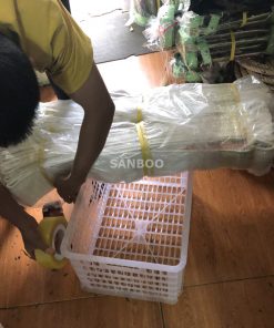 Cap Vai Cau Hang 20cm 8 Tan5