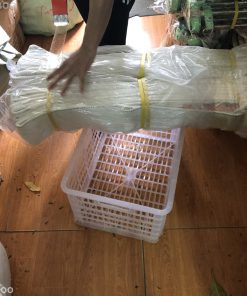 Cap Vai Cau Hang 20cm 8 Tan56