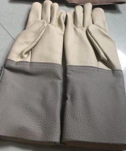 Gang Tay Da Han Dai Da Cat