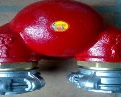 Họng chữa cháy tiếp nước TQ 2 cửa