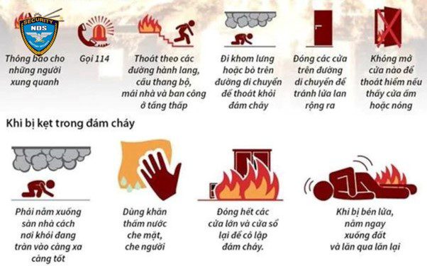 3 phút quyết định sự sống 